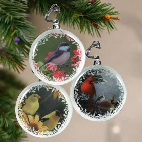 Glass Bird Christmas Ornaments