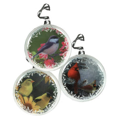 Glass Bird Christmas Ornaments