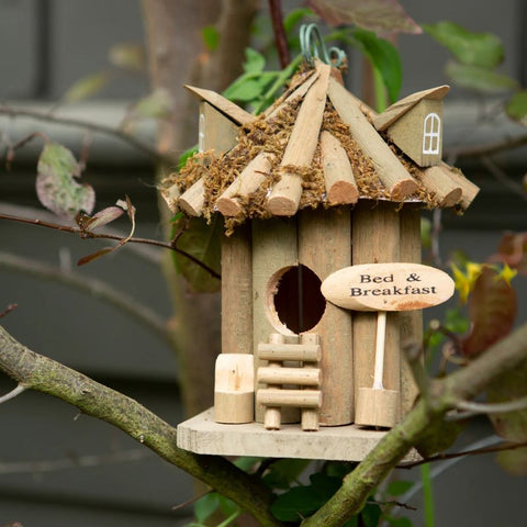 Bed & Breakfast Bird House