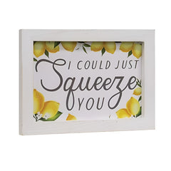 i could just squeeze you framed lemon sign