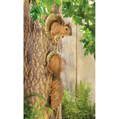 brown squirrel tree hugger