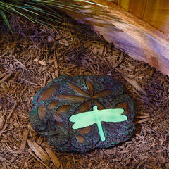 dragonfly glowing stepping stone