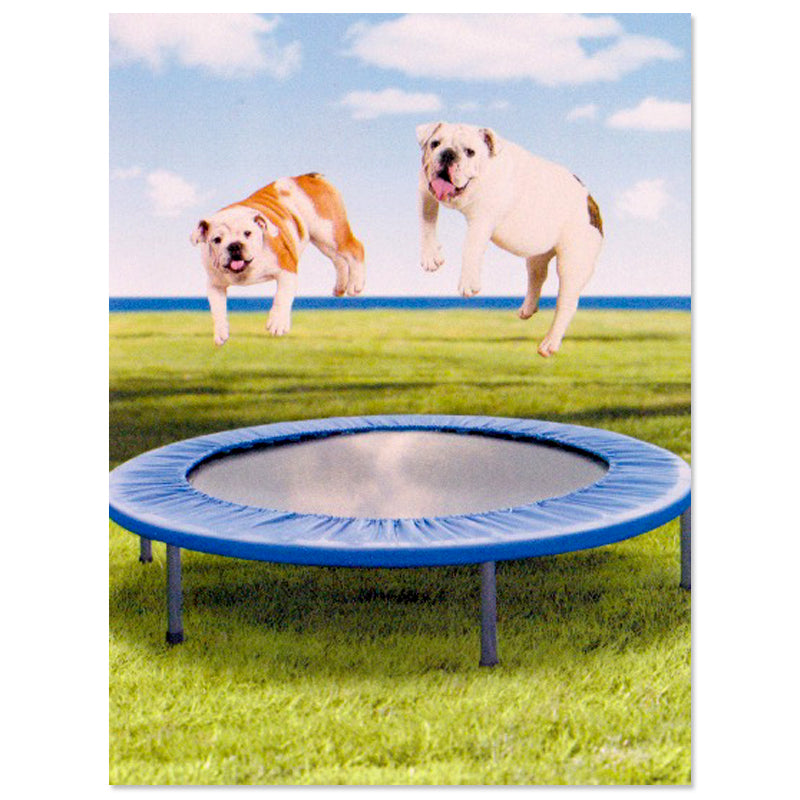 bouncing bulldogs friendship card