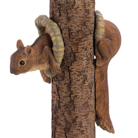 Brown Squirrel Tree Hugger