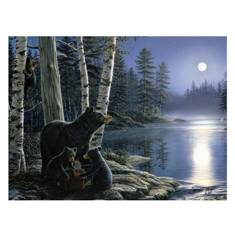 Moonlight Bears LED Canvas Art Print