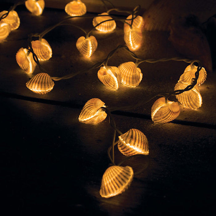 sea shells party lights